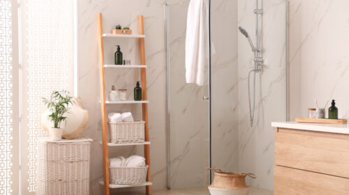 Modern bathroom interior with decorative ladder and shower stall